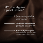Eucalyptus Lyocell Flat Sheet