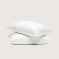 Eucalyptus Lyocell Pillow Cases