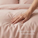 Eucalyptus Lyocell Pillow Cases